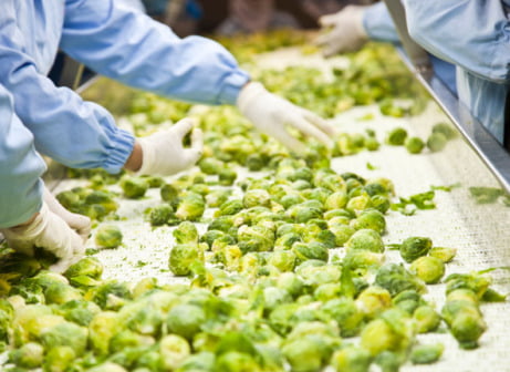 Food Processing